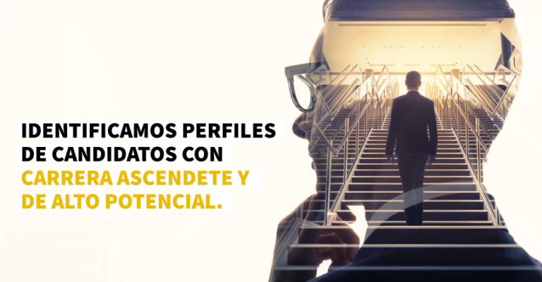 articulos plantilla mantovani